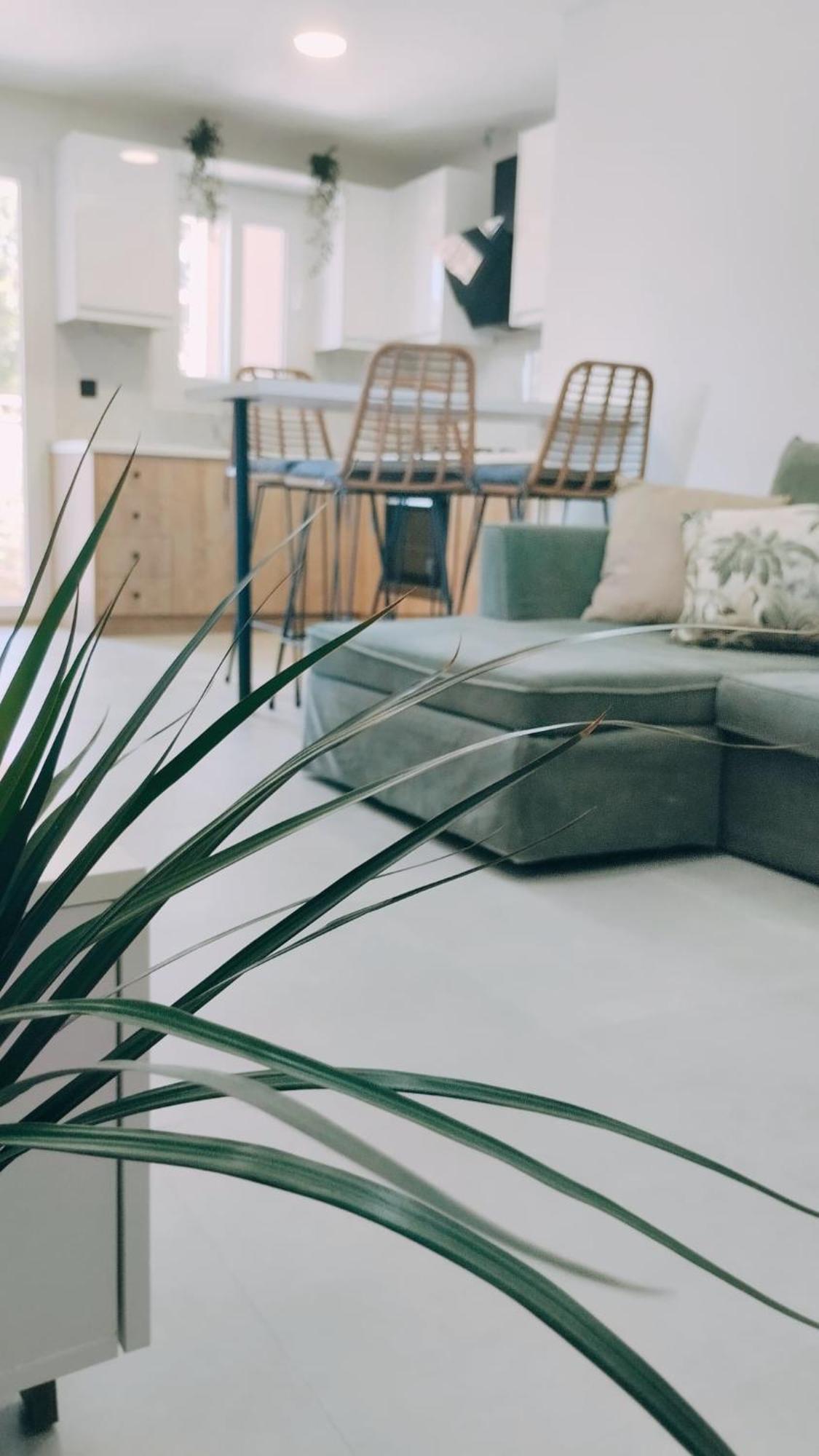 לפקימי Inas Apartments 2 מראה חיצוני תמונה
